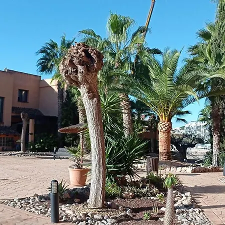 Luxury Large 2 Bedroom 10 Min Walk To Plaza Apartment Villamartin (Valencia)